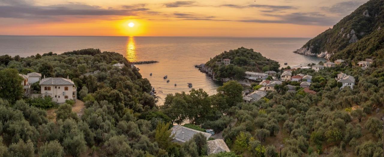 Olive House In Damouchari With A Sea View - Delicious Houses Exteriér fotografie